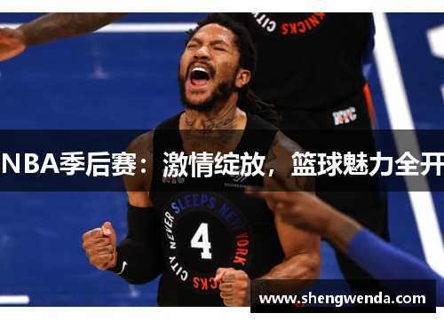 NBA季后赛:激情绽放,篮球魅力全开 NBA季后赛:激情绽放,篮球魅力全开